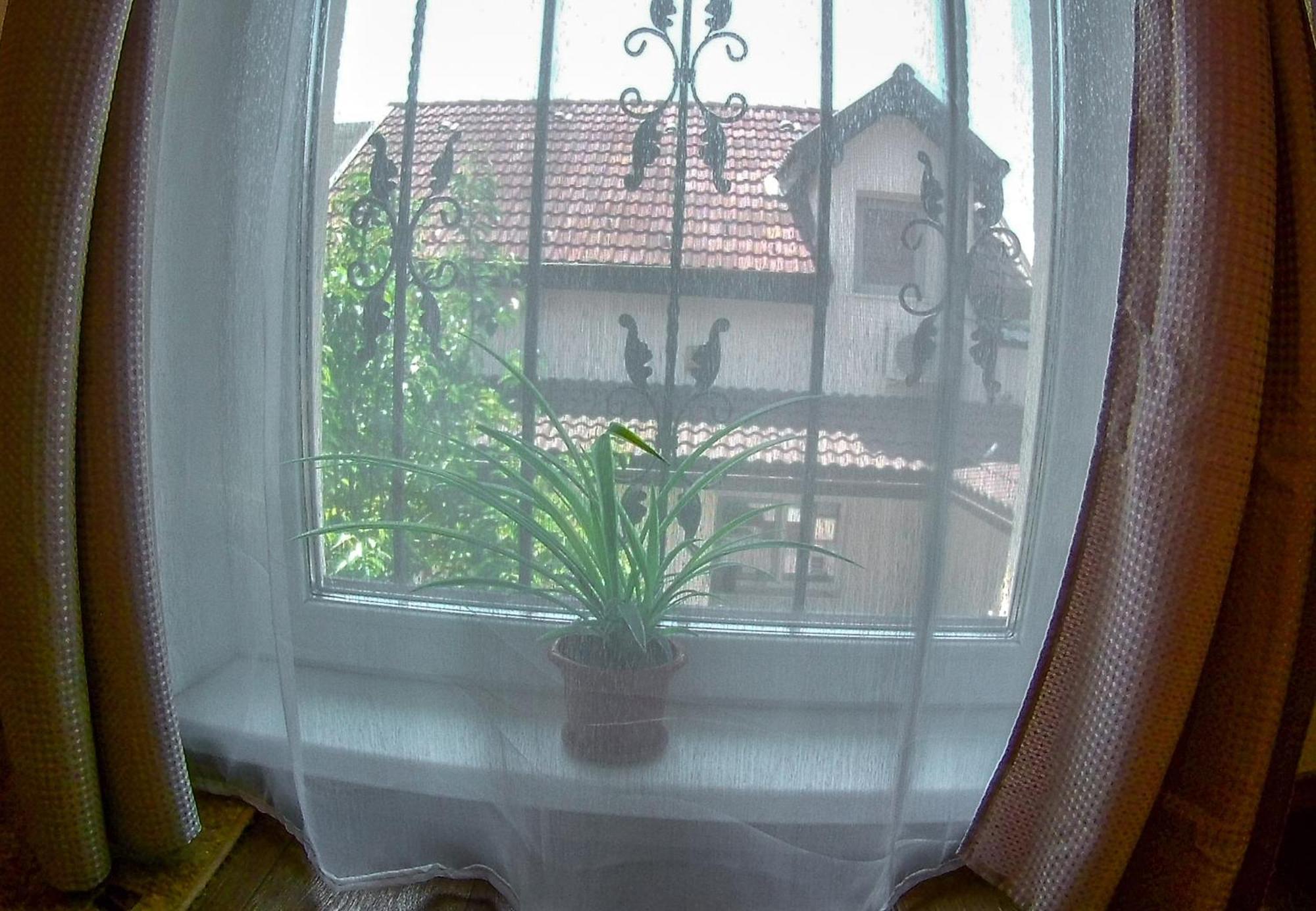 Nice & Cozy Apartments Timisoara Phòng bức ảnh